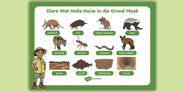 Diere Wat Hulle Huise in die Grond Maak Woordmat - Twinkl