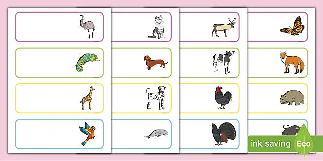 Cute Animals Themed Drawer, Peg, Name Labels - Cute Animals Themed Drawer,