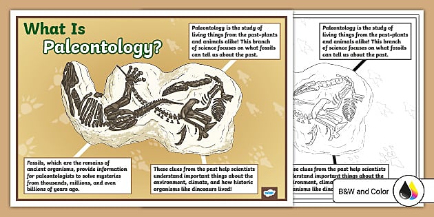 What is Paleontology Poster | Science Resource | Twinkl USA