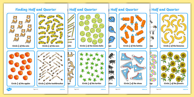 finding half and a quarter worksheet worksheet worksheet