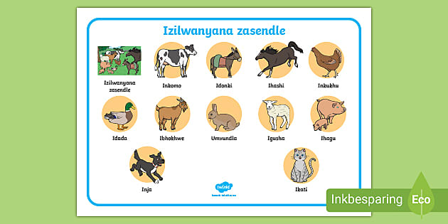 learn-farm-animals-in-isixhosa-word-mat-foundation-phase