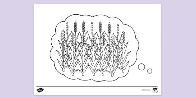corn stalk coloring pages