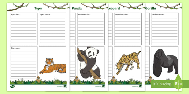 Jungle Animals Fact File Worksheet / Worksheets - Twinkl