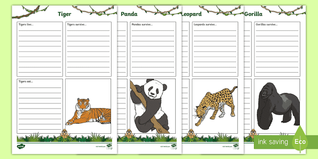 jungle animals fact file worksheet worksheets