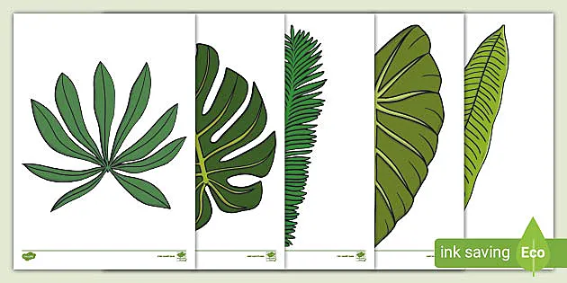 tropical leaf template
