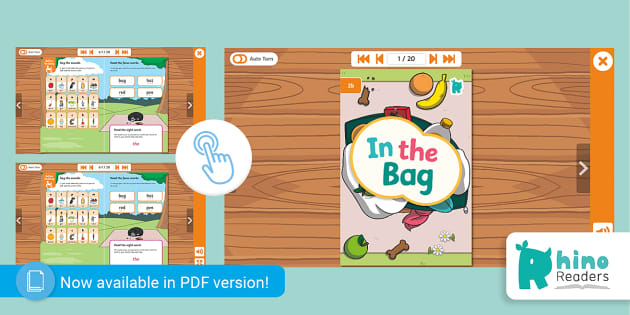 Level 2b Decodable Readers: In the Bag - Twinkl