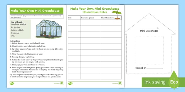 Design Technology Make a Mini Greenhouse Activity - Twinkl