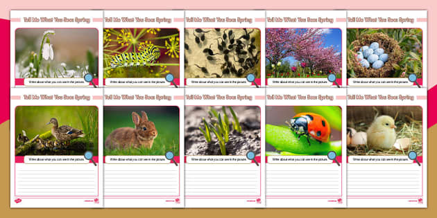 Tell Me What You See: Spring Writing Prompts Activity