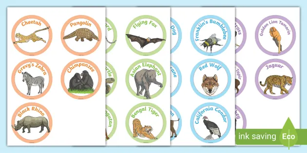 KS2 Endangered Animals Labels (teacher made) - Twinkl