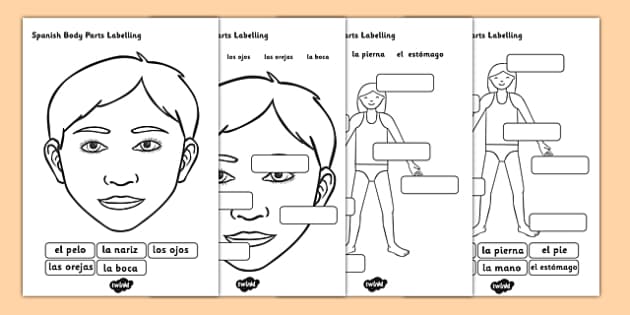 Spanish Body Parts Labelling Worksheet - spanish, body parts