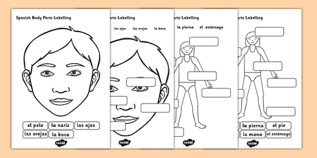 free body parts in spanish worksheet body parts labelling