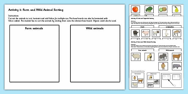 Sorting Activities (teacher made) - Twinkl