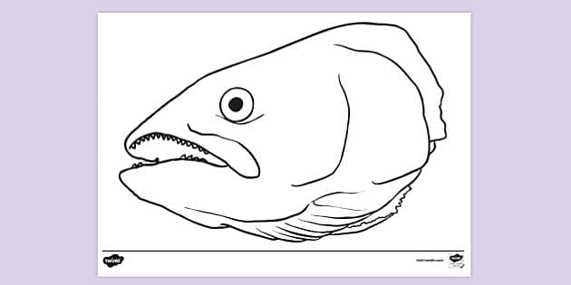 FREE! - Rosh Hashanah Fish Head Colouring Sheet | Colouring Sheets