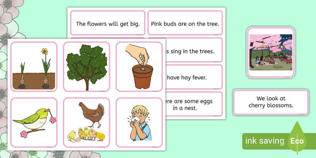 春の英文マッチングカード 英語 Spring Sentence Matching Cards- English