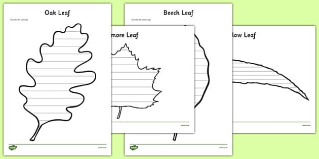 Leaf Themed Review Worksheet / Worksheet Pack - Twinkl
