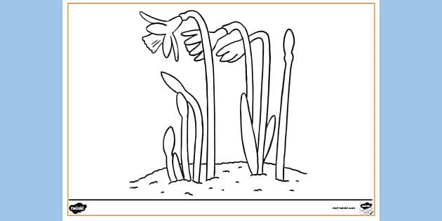 free printable coloring pages cattails plants