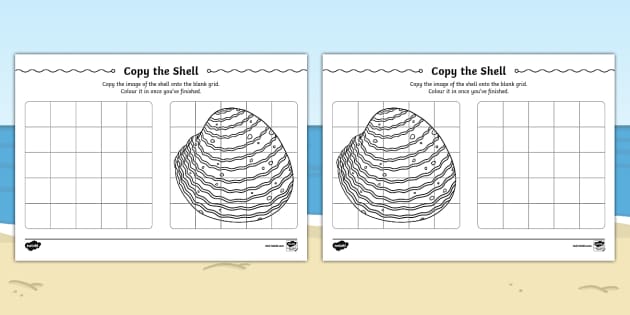 Copy the Shell Worksheet (Teacher-Made) - Twinkl