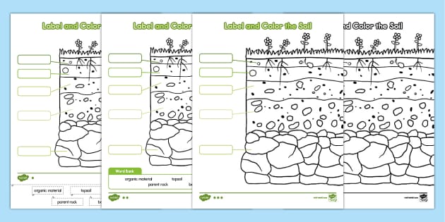 soil layers worksheet for kids