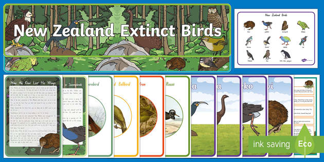 New Zealand Native Birds Display Pack (teacher made) New Zealand Native Birds Display Pack (teacher made)