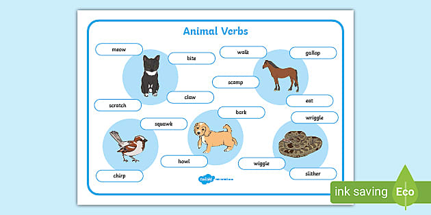 Animal Verbs Word Mat (teacher made) - Twinkl