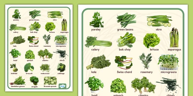 Green Edible Foods Poster (Teacher-Made) - Twinkl