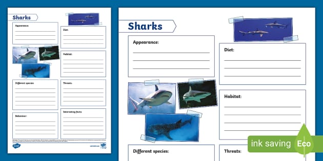 KS2 Sharks Fact File Template (teacher made) - Twinkl