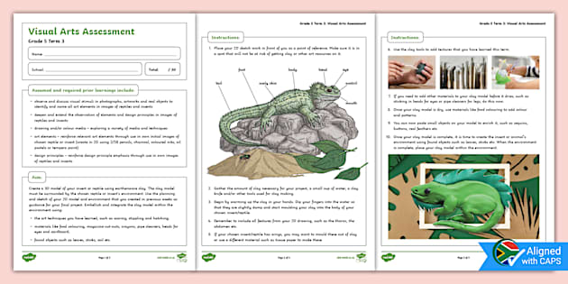 Creative Arts: Grade 5 Term 3 Visual Arts Clay Assessment