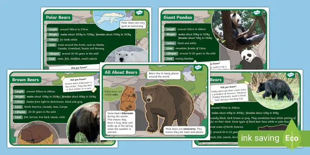 FREE! - Bear Cards Feelings丨Twinkl Printable Resources