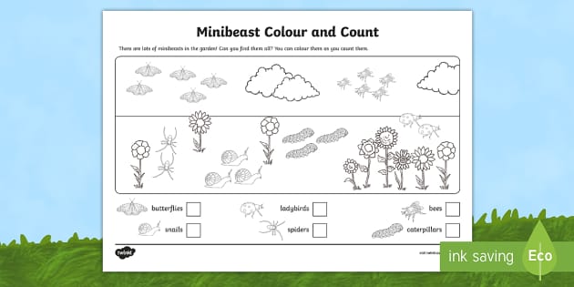 Minibeast Colour and Count Worksheet teacher made Twinkl