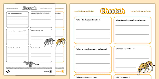 Cheetah Fact File Template,cheetah (teacher made) - Twinkl