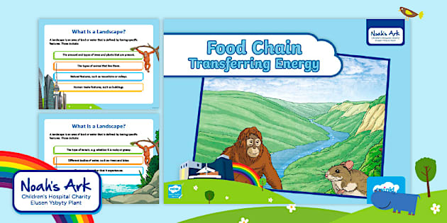 Food Chain Transferring Energy Powerpoint Biology Diagrams