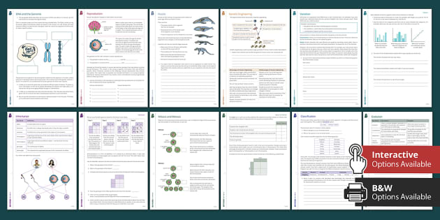 GCSE Inheritance, Variation And Evolution Worksheets |Beyond