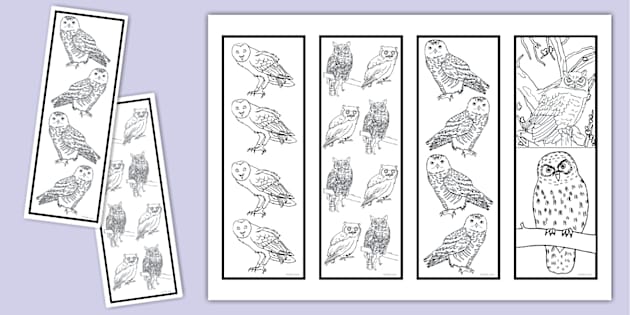 Owl Colouring Bookmarks (teacher made) - Twinkl