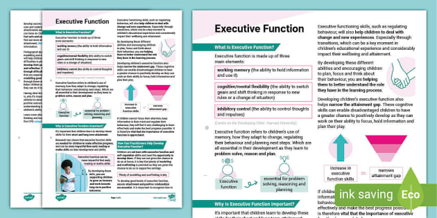 Development of 2024 executive function