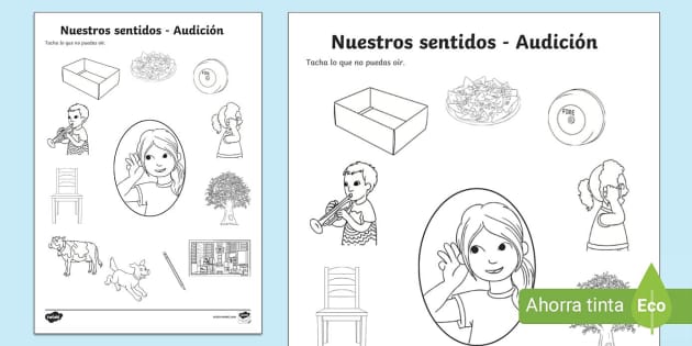 Ficha De Actividad: Nuestros Sentidos - Oído | Twinkl