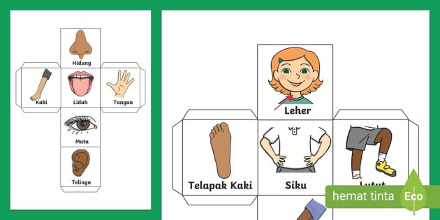 Permainan Kreatif Dadu tentang Anggota Tubuh (teacher made)