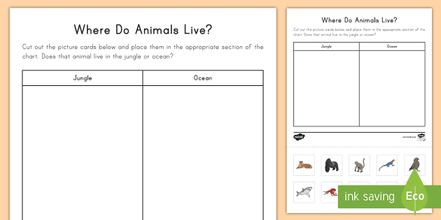 Where Do Animals Live Worksheet / Worksheet (Teacher Made)