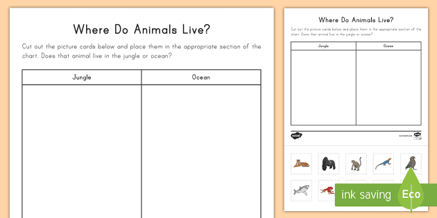 where do animals live worksheet worksheet teacher made