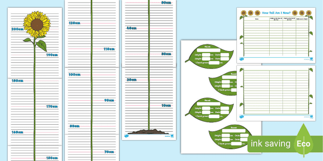 Class Ruler Height Chart - Twinkl - Display - Maths - KS1