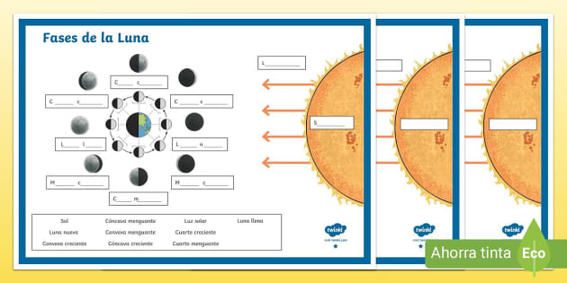 hoja de trabajo de las fases de la luna en blanco