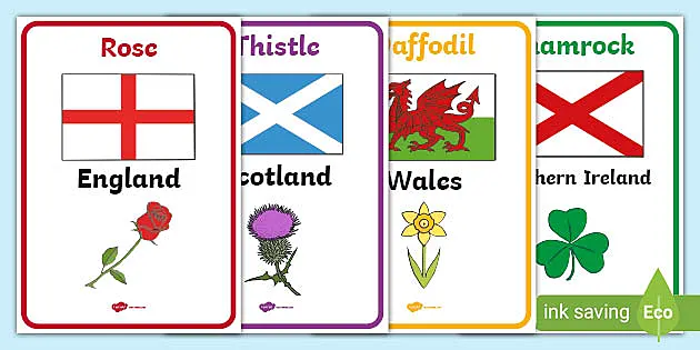 Flowers Of Britain And Ireland Posters Resources