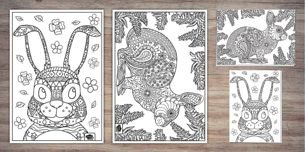 FREE! - Year of the Rabbit 2023 Mindfulness Colouring Activity