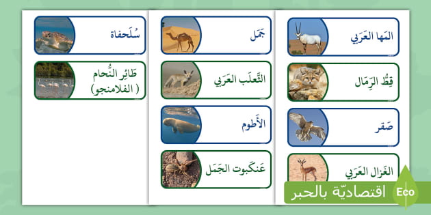 بطاقات مفردات الحيوانات التي تعيش في الإمارات