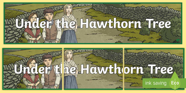 Display Banner to Support Teaching on Under the Hawthorn Tree - ROI