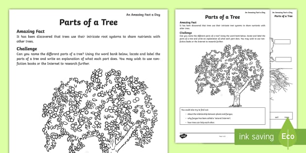 Parts of a Tree Challenge and Vocabulary Worksheet
