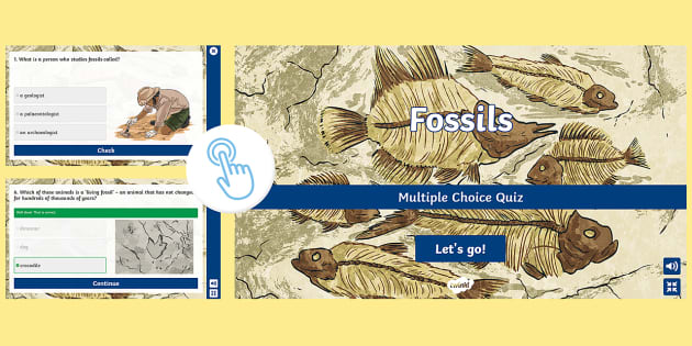 fossil q activity