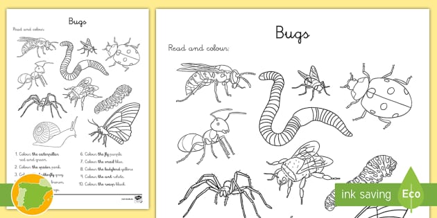 A1 Ficha de actividad: Lee y colorea los bichos en inglés