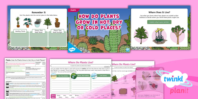 Tp Sc 026 Science Plants How Do Plants Grow In Hot Dry Or Cold Places Year 2 Lesson Pack 6 Ver 1 