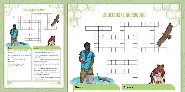 Zoologist Crossword (teacher made) Twinkl