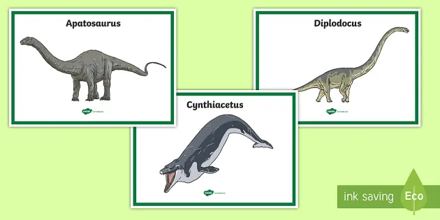 Laminated Different Dinosaurs Types Illustration Dinosaur Poster